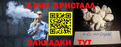 шишки Обнинск