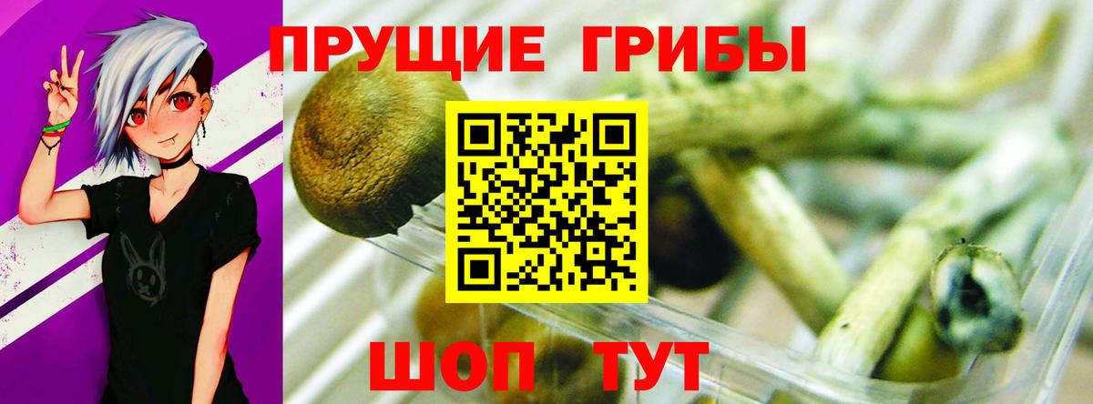 Саранск  Псилоцибиновые грибы прущие грибы  Вход с VPN 