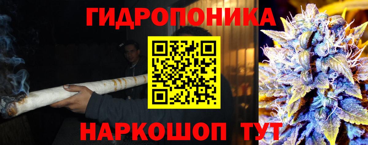 Бошки Шишки гибрид  Вход с VPN  Саранск  Каннабис гибрид  МАРИХУАНА ГИДРОПОН 